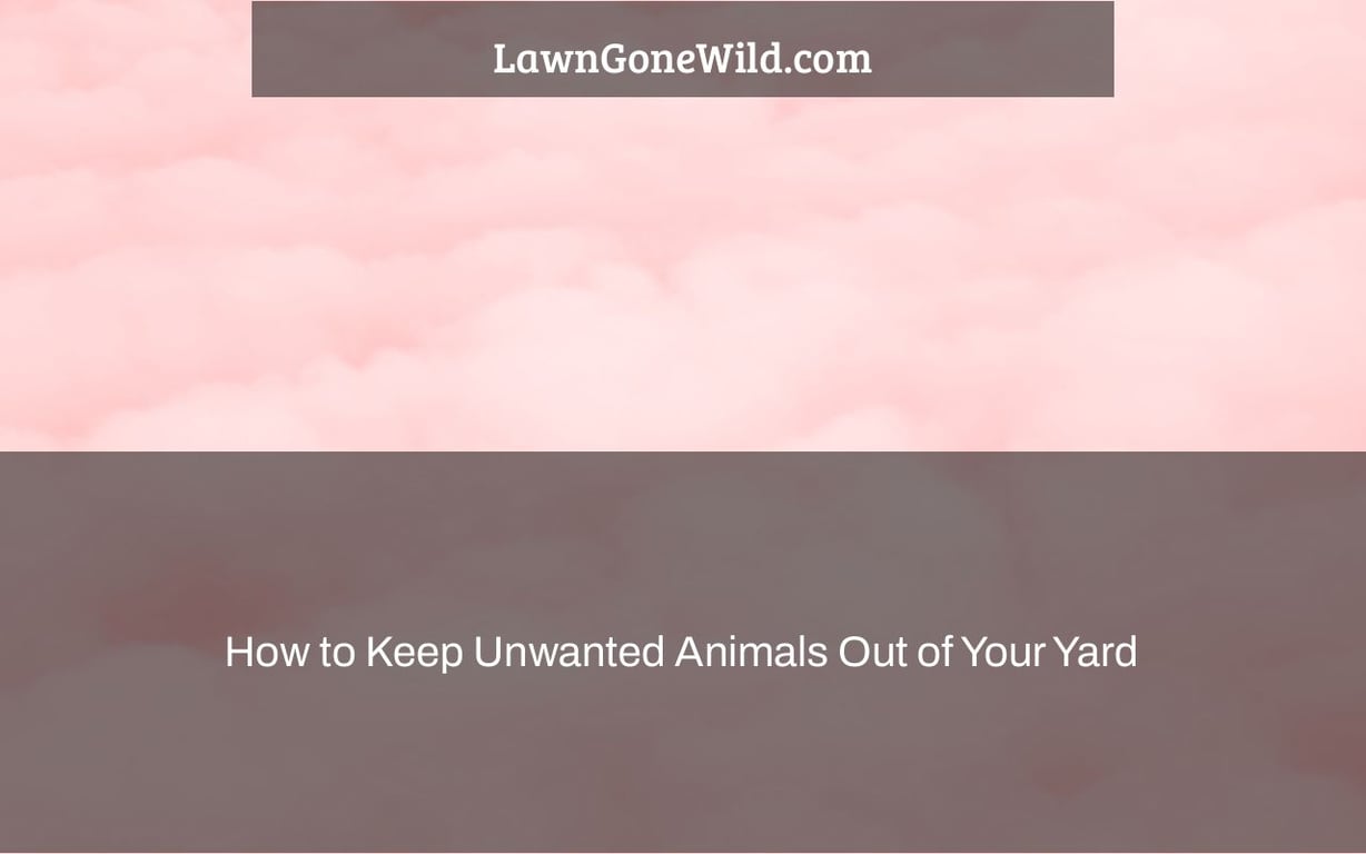 How to Keep Unwanted Animals Out of Your Yard Lawn Gone Wild