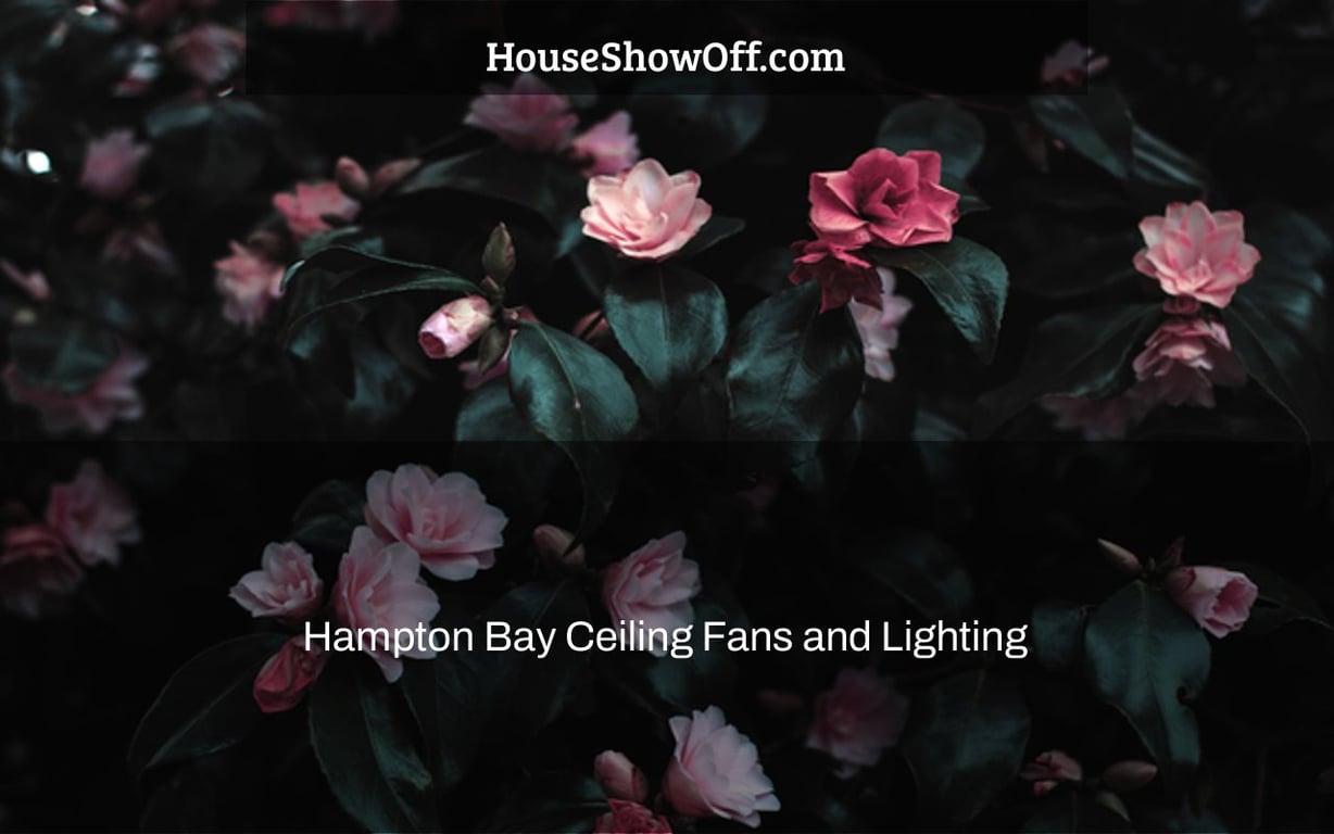 Hampton Bay Ceiling Fans and Lighting
