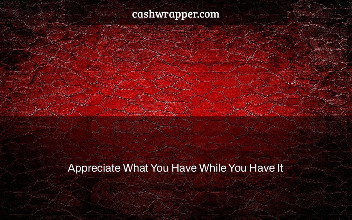 Appreciate What You Have While You Have It - Cash Wrapper