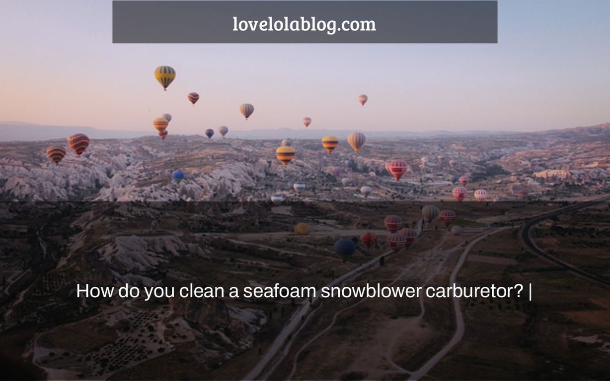 How do you clean a seafoam snowblower carburetor? |