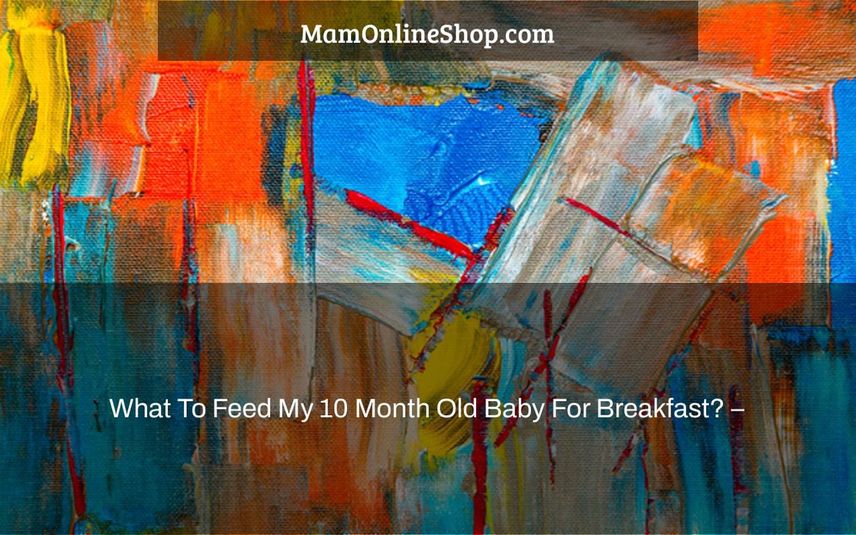 What To Feed My 10 Month Old Baby For Breakfast? –