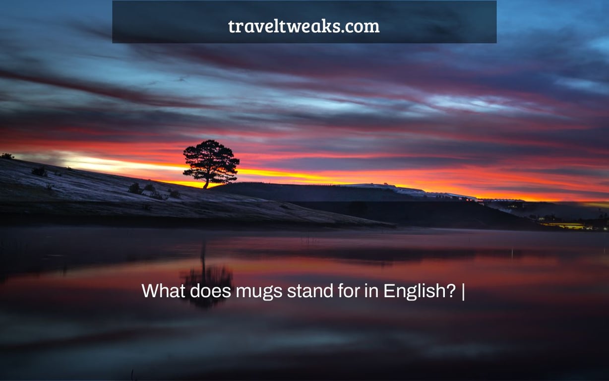 What does mugs stand for in English? |