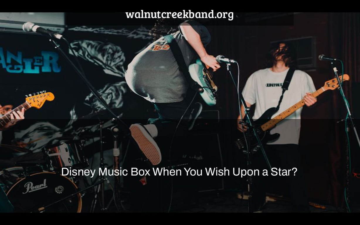 Disney Music Box When You Wish Upon a Star?