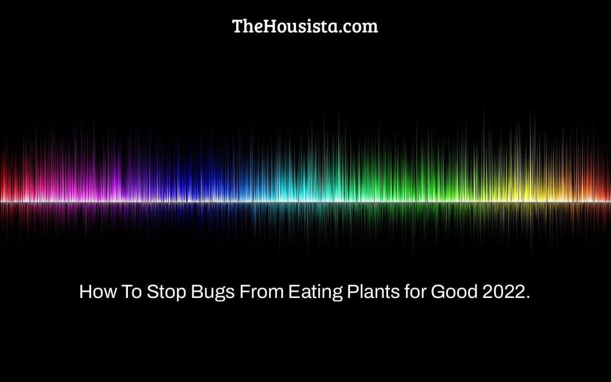 How To Stop Bugs From Eating Plants for Good 2022.