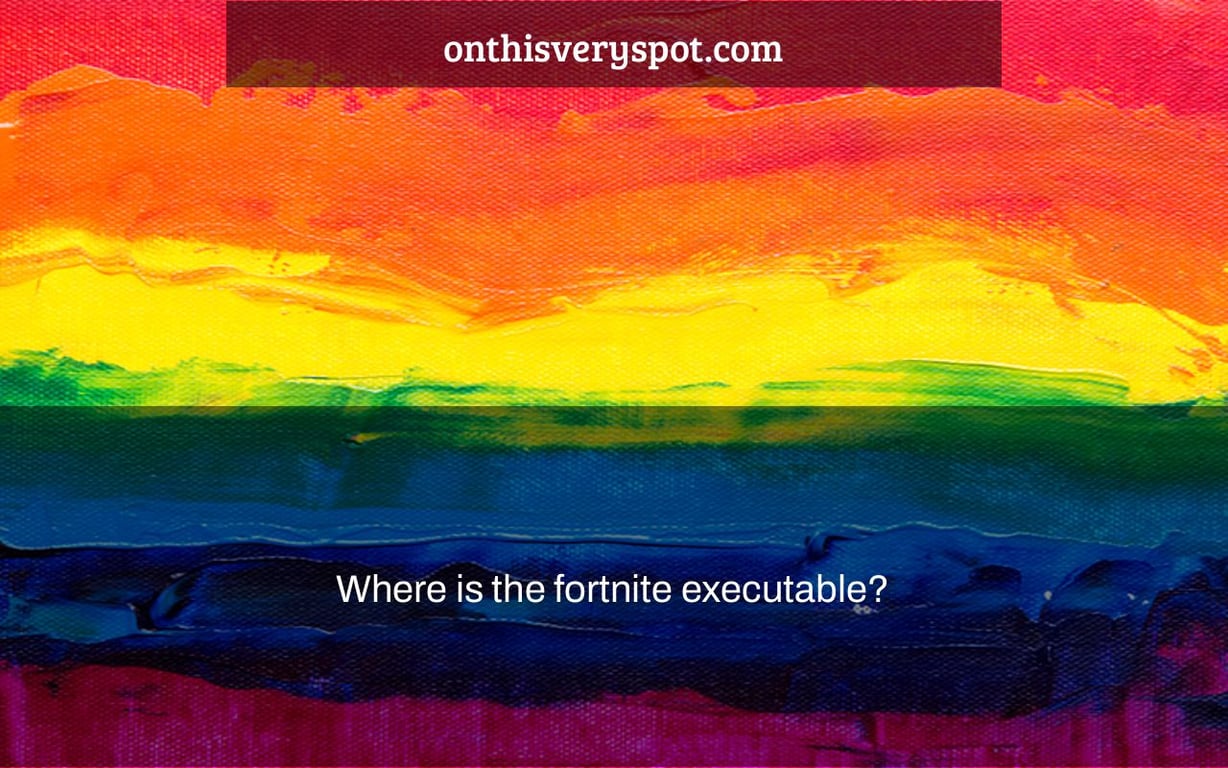 Where is the fortnite executable?