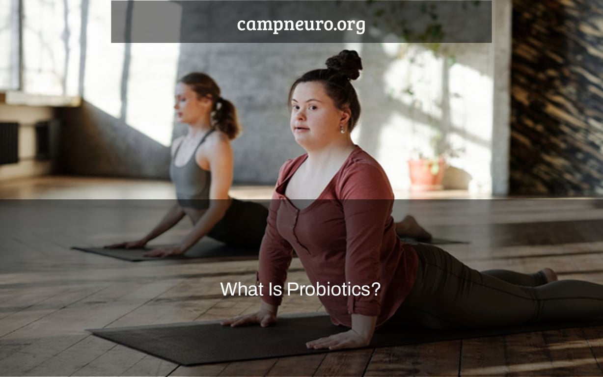 What Is Probiotics?