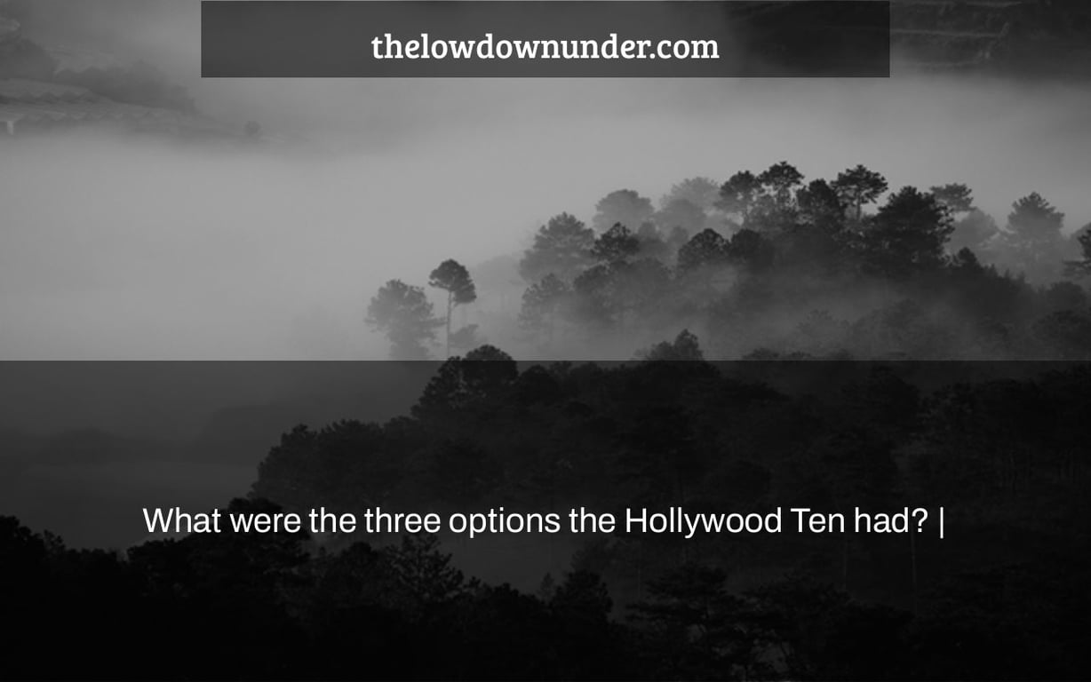 What were the three options the Hollywood Ten had? |