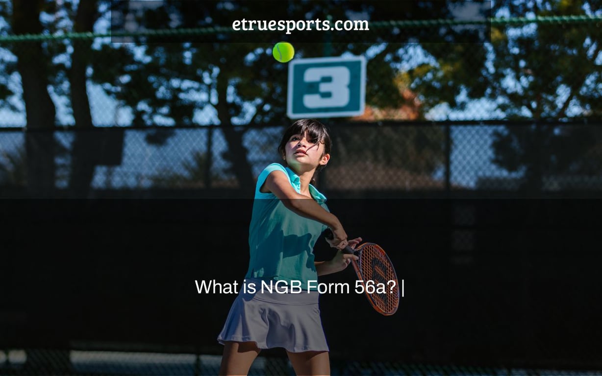What is NGB Form 56a? |