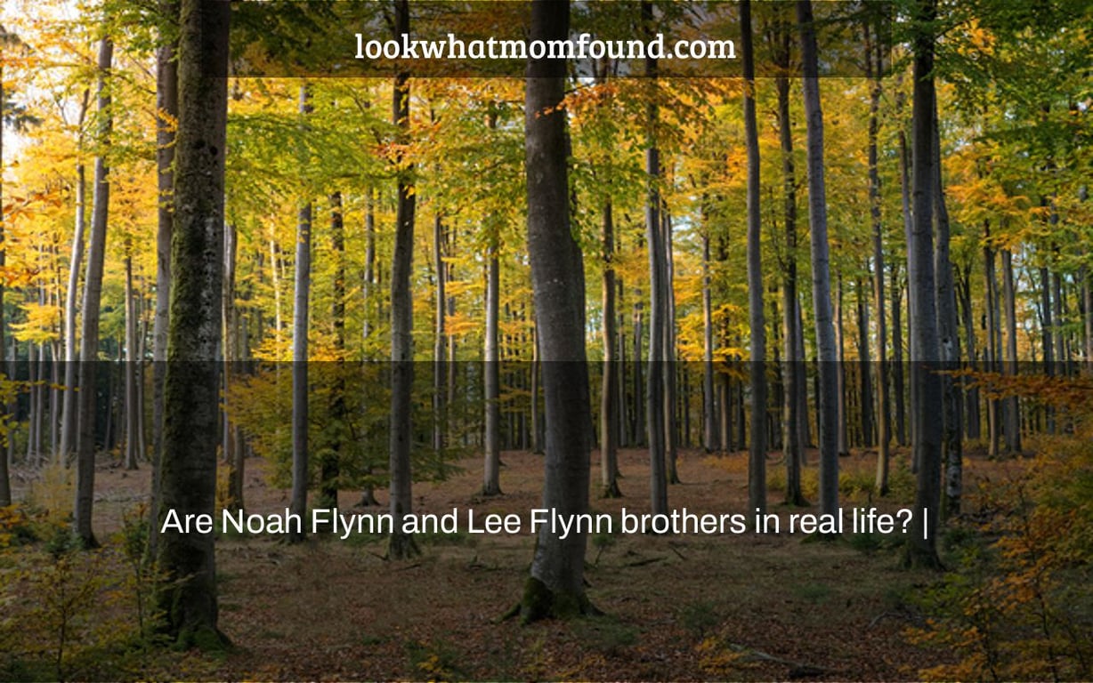 Are Noah Flynn and Lee Flynn brothers in real life? |