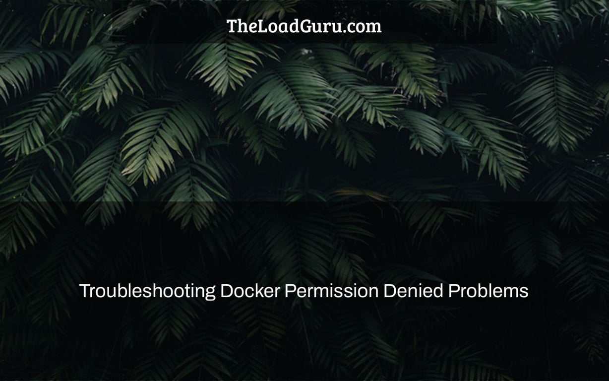 Troubleshooting Docker Permission Denied Problems