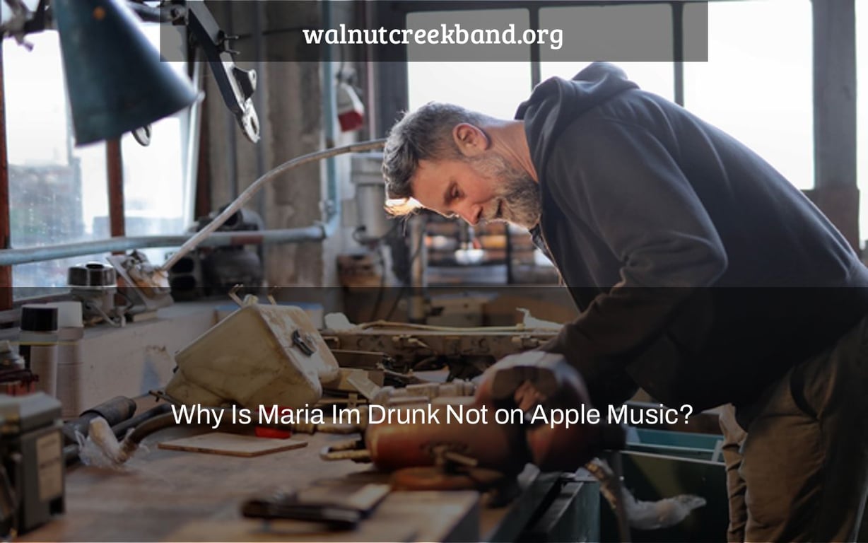 Why Is Maria Im Drunk Not on Apple Music?