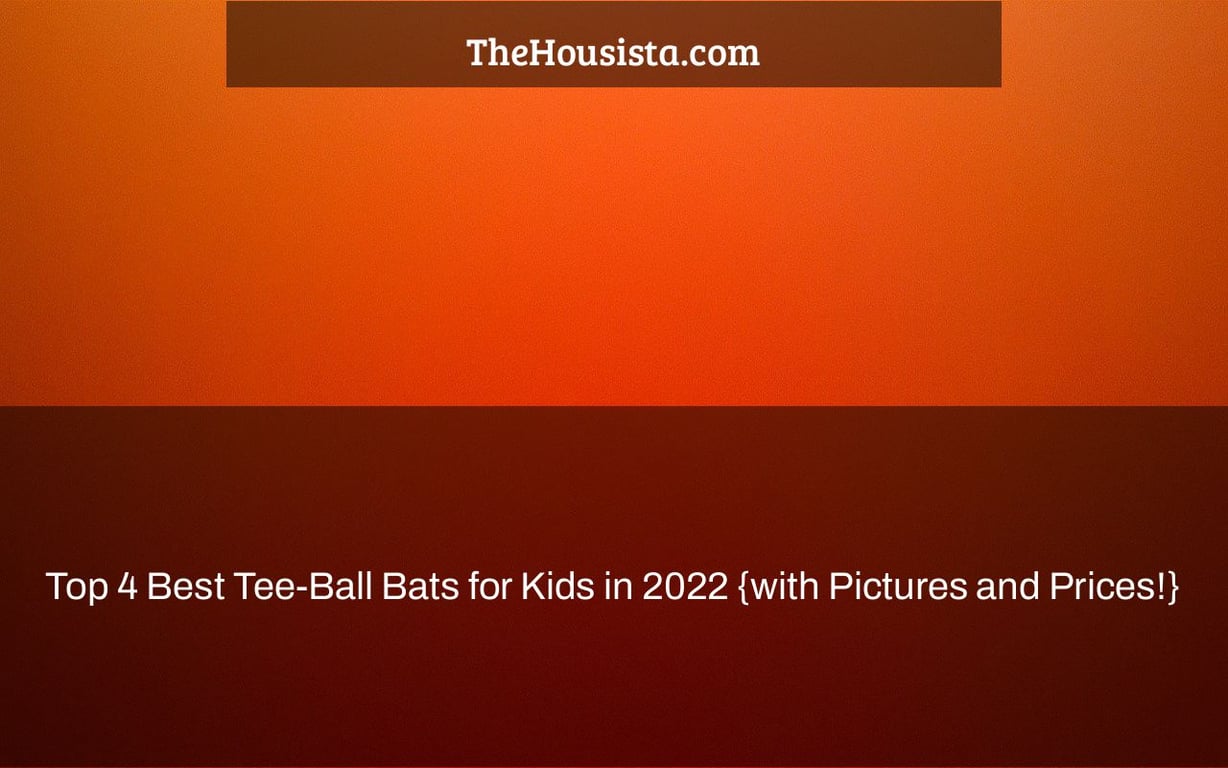 Top 4 Best Tee-Ball Bats for Kids in 2022 {with Pictures and Prices!}
