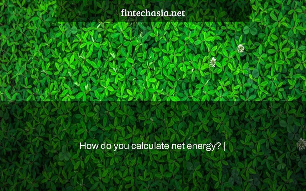 How do you calculate net energy? |