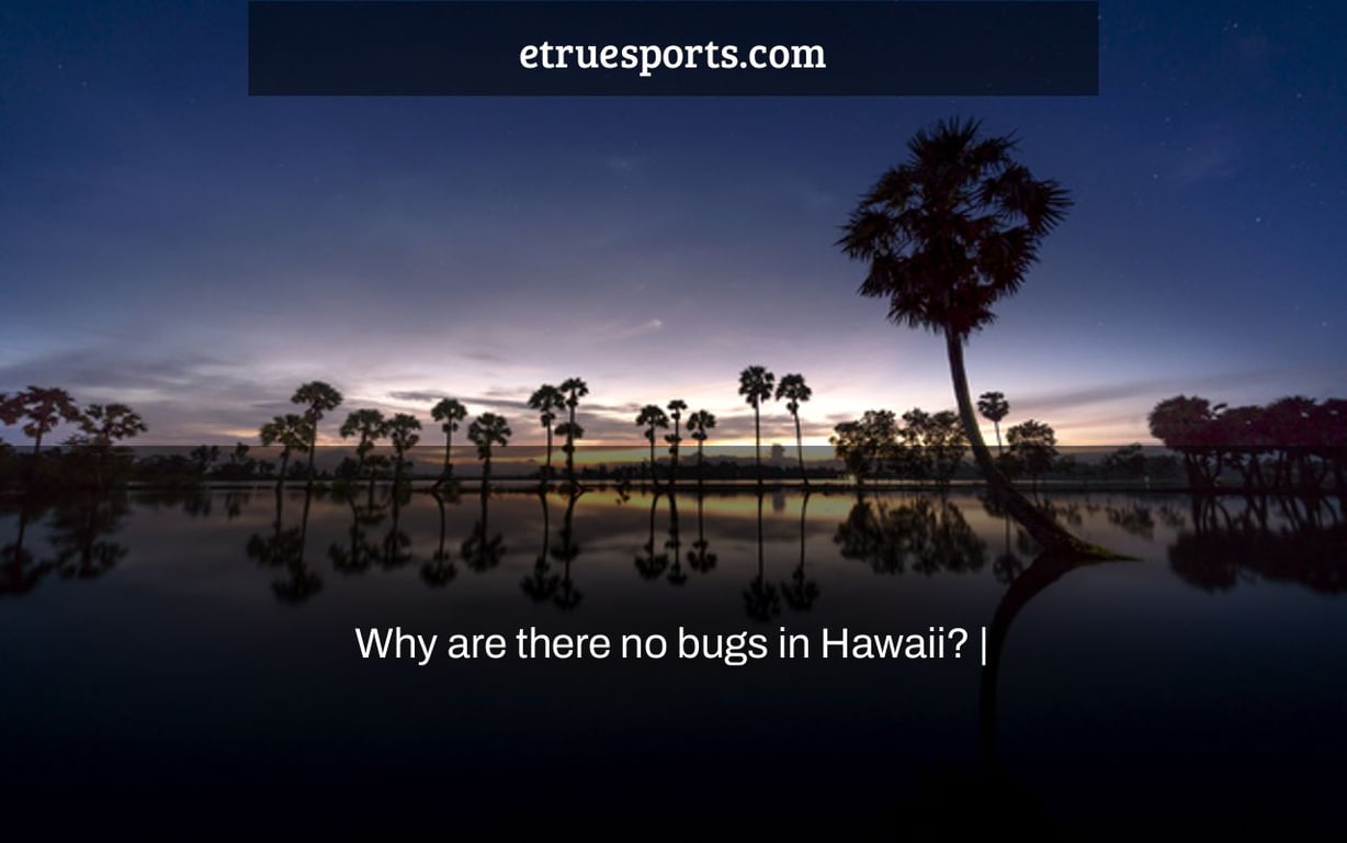 Why are there no bugs in Hawaii? |