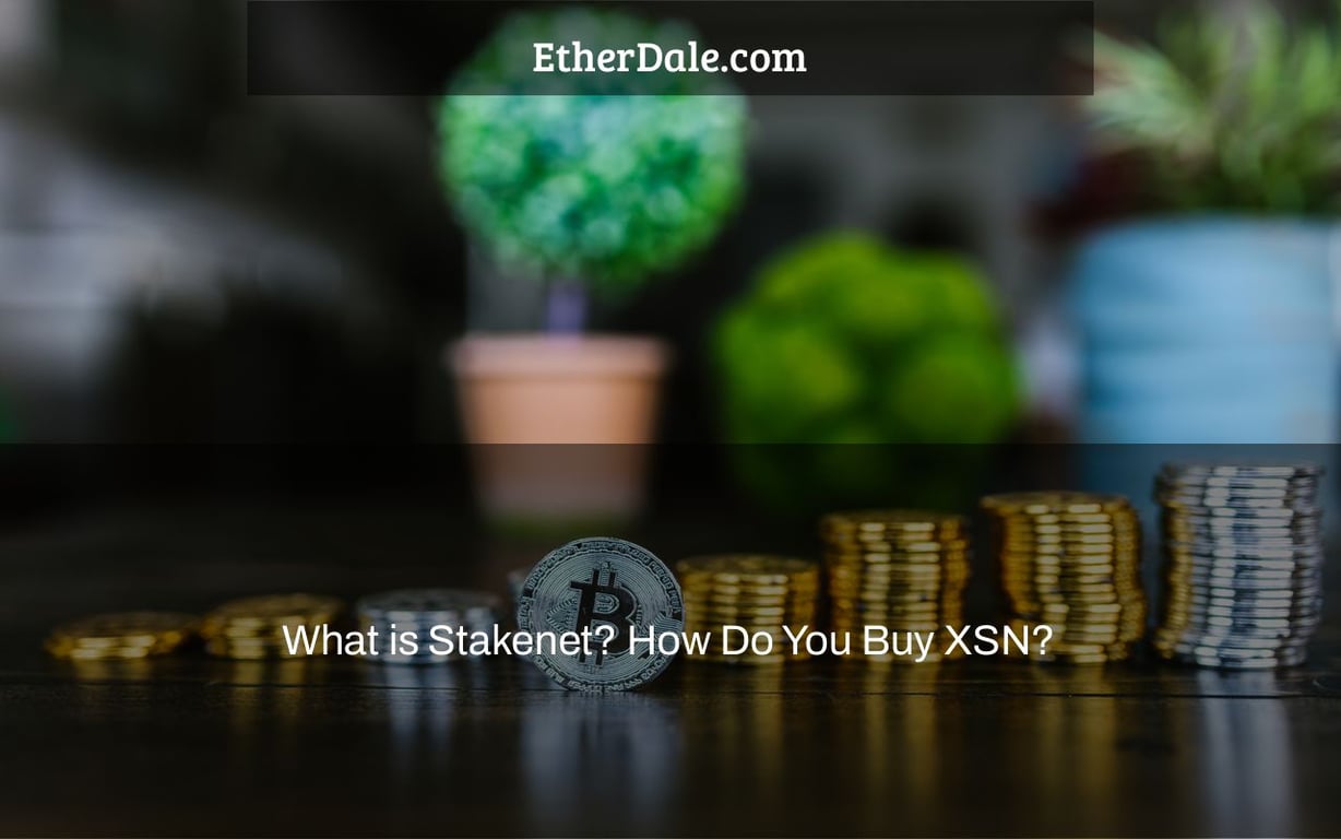 What is Stakenet? How Do You Buy XSN?