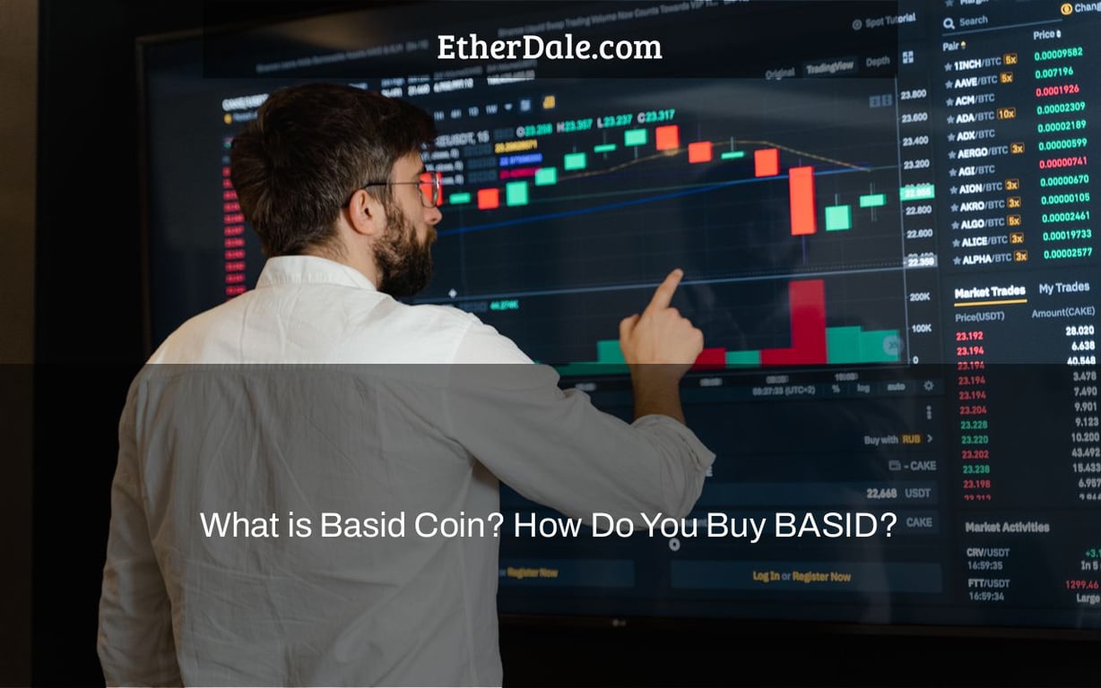What is Basid Coin? How Do You Buy BASID?