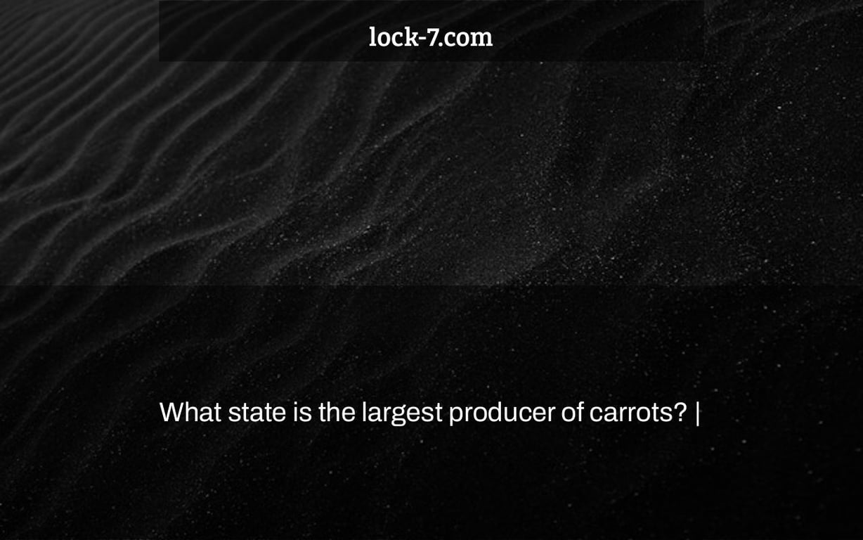 What state is the largest producer of carrots? |