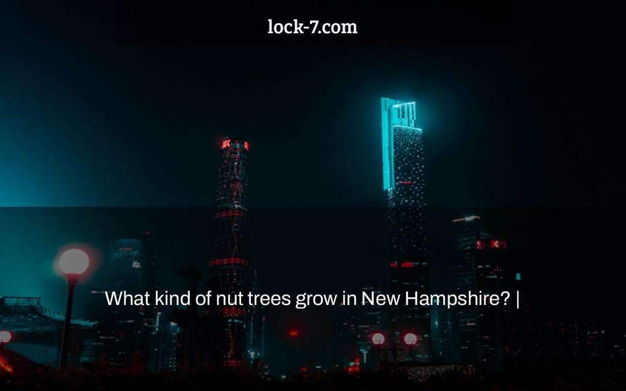 What kind of nut trees grow in New Hampshire? |