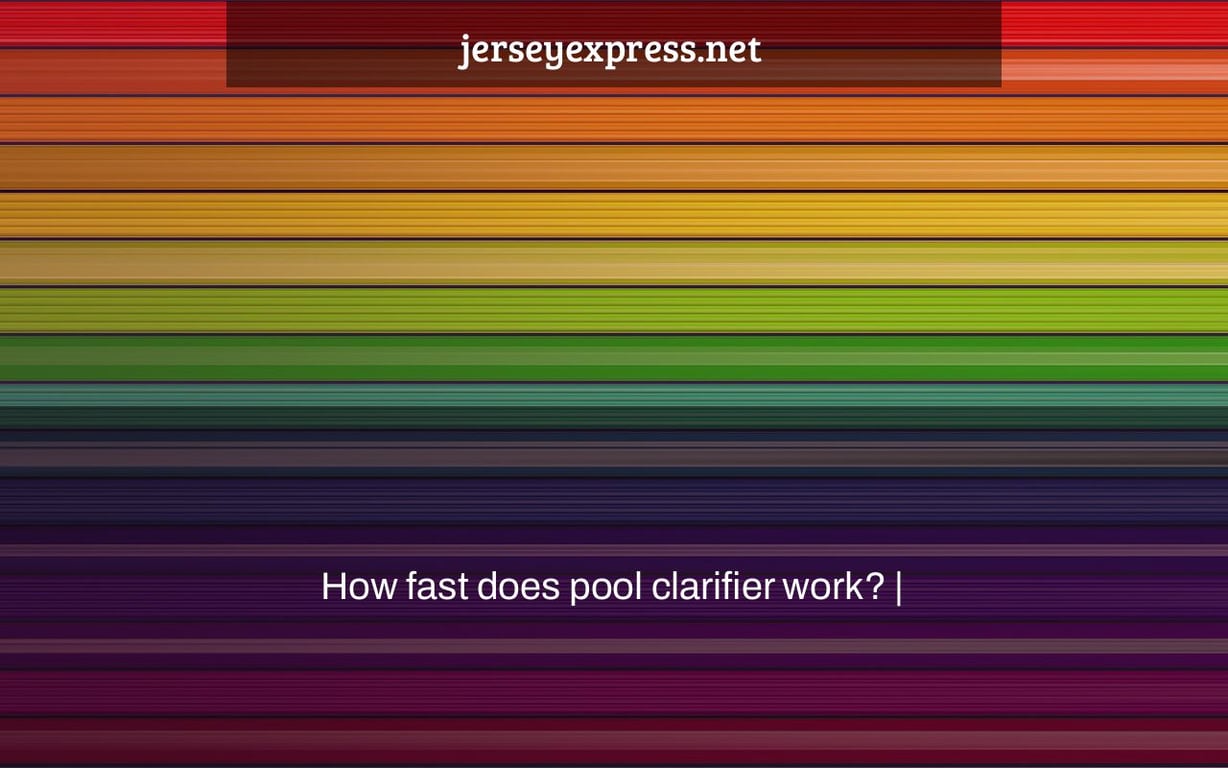 How fast does pool clarifier work? |