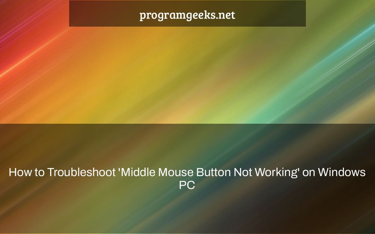 How to Troubleshoot 'Middle Mouse Button Not Working' on Windows PC