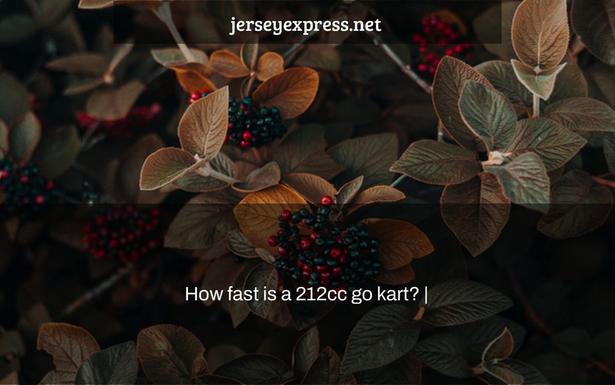 How fast is a 212cc go kart? |