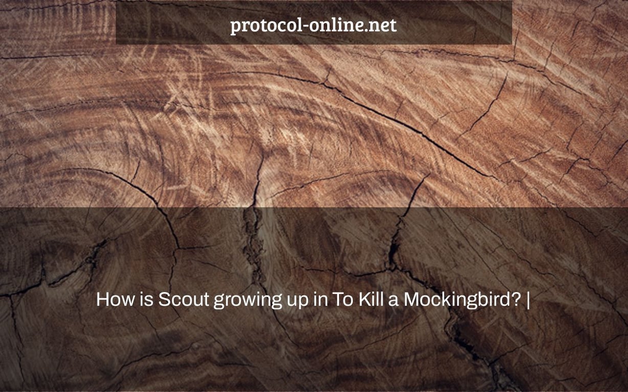 How is Scout growing up in To Kill a Mockingbird? |