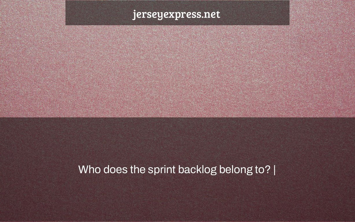 Who does the sprint backlog belong to? |