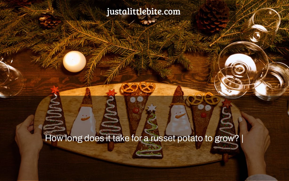 How long does it take for a russet potato to grow? |