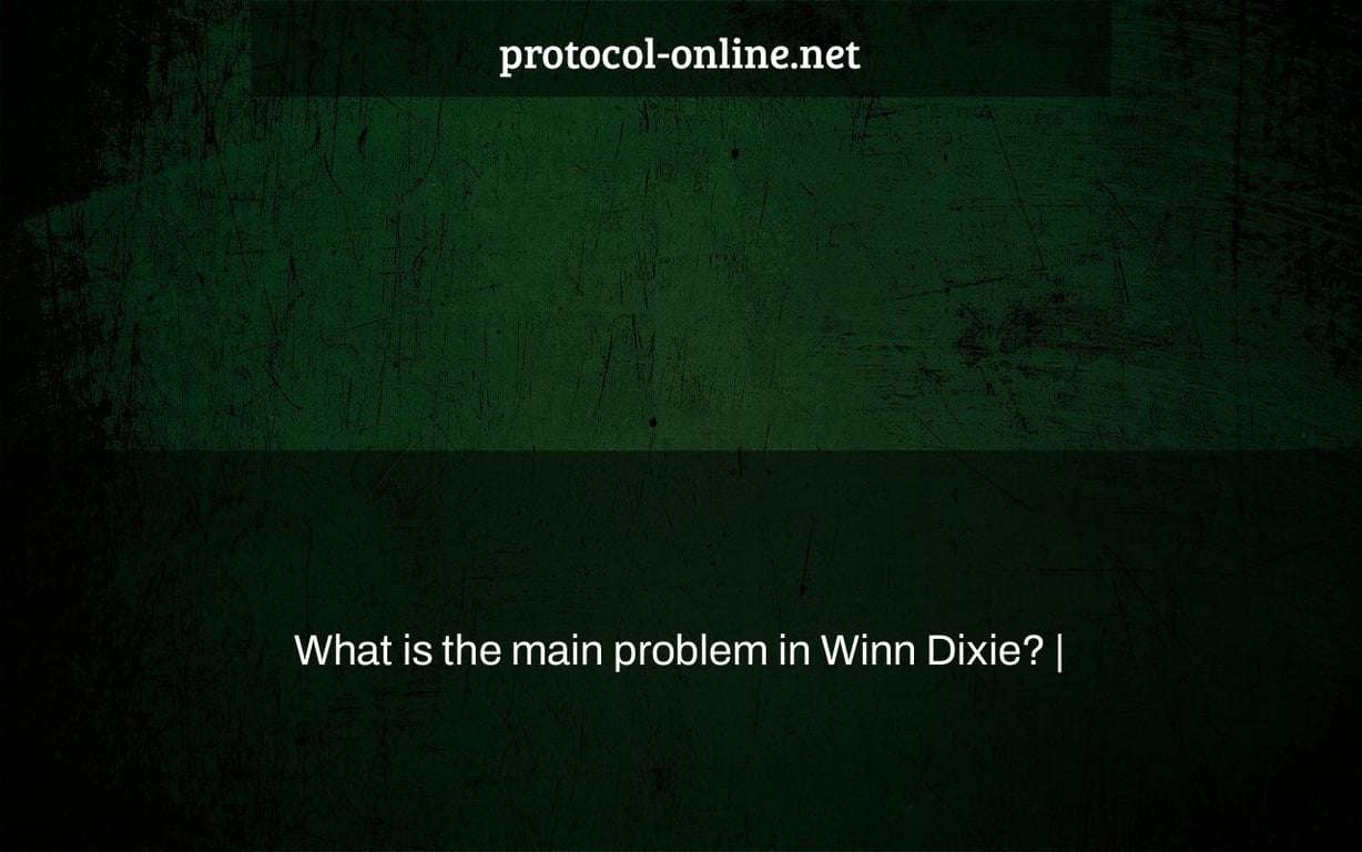 What is the main problem in Winn Dixie? |