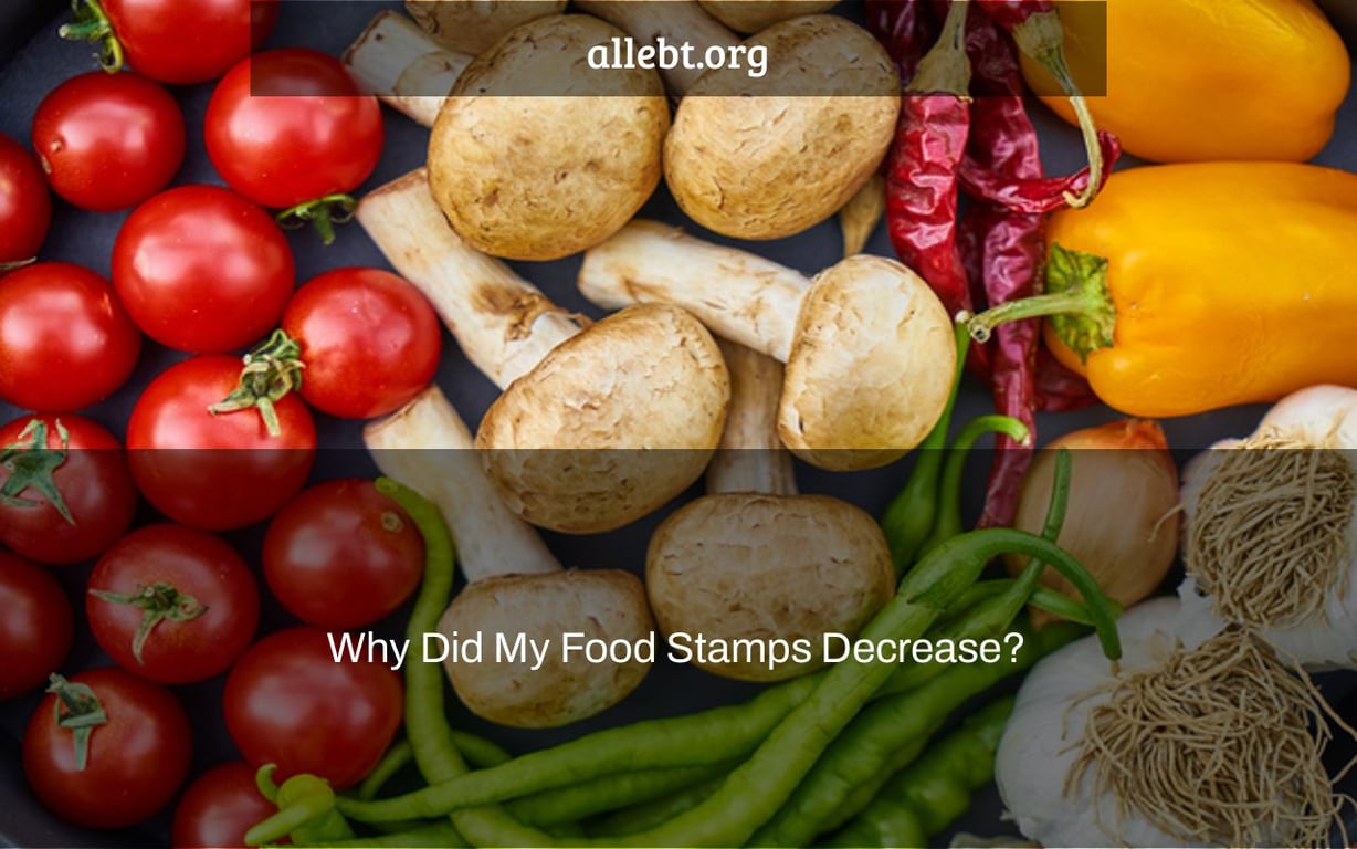 Why Did My Food Stamps Decrease?