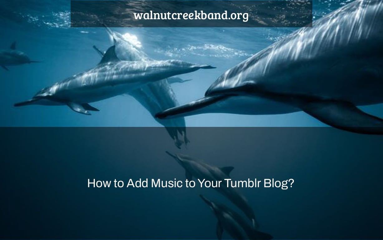 How to Add Music to Your Tumblr Blog?