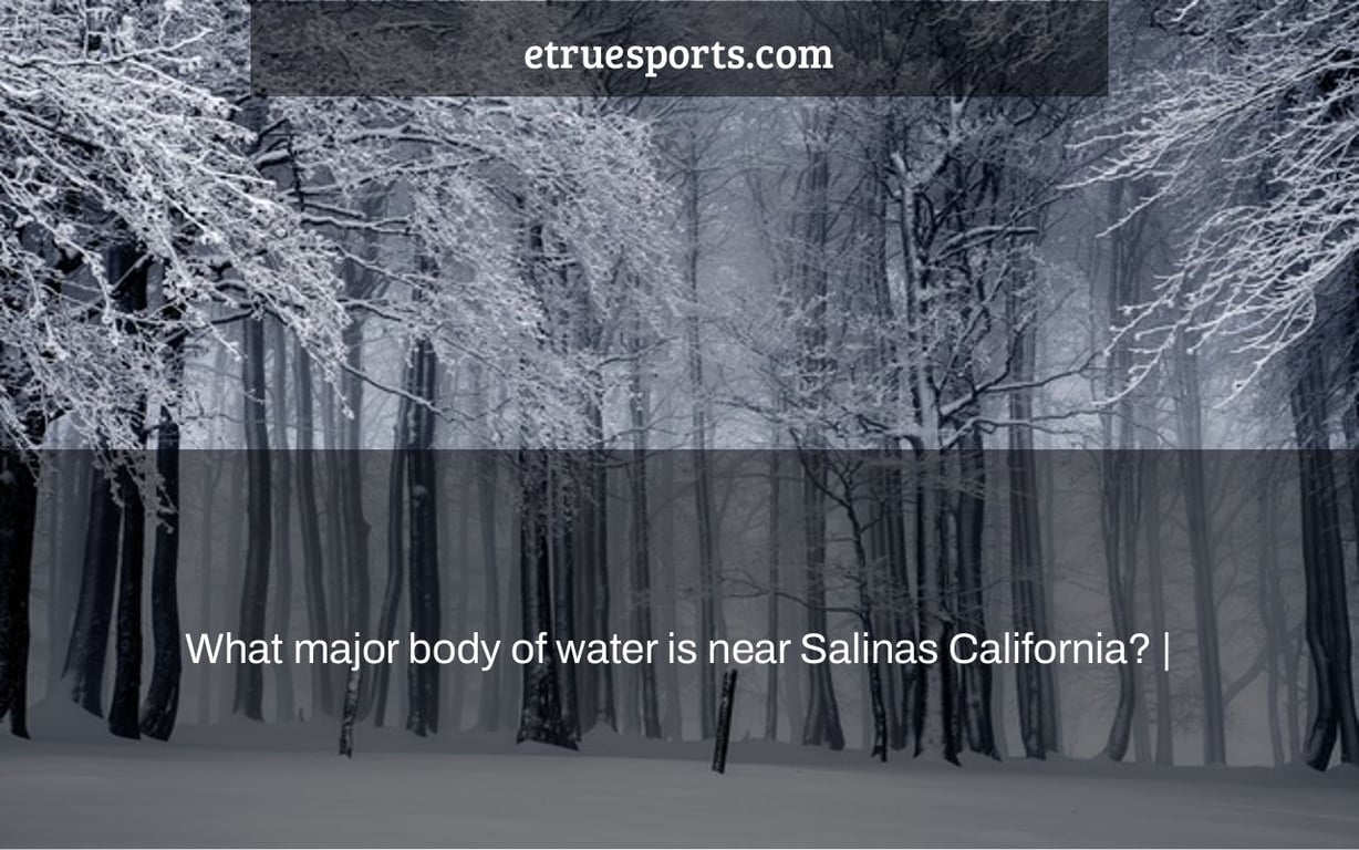 What major body of water is near Salinas California? |