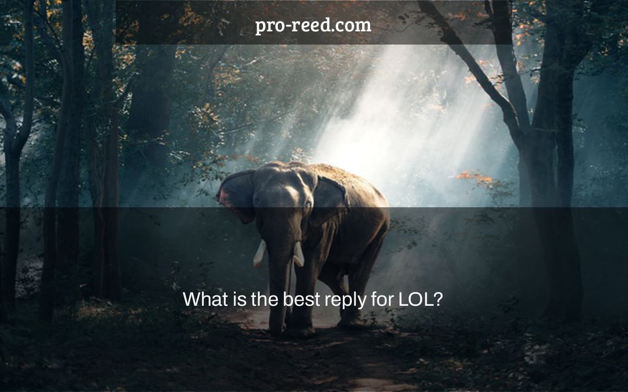 What is the best reply for LOL?