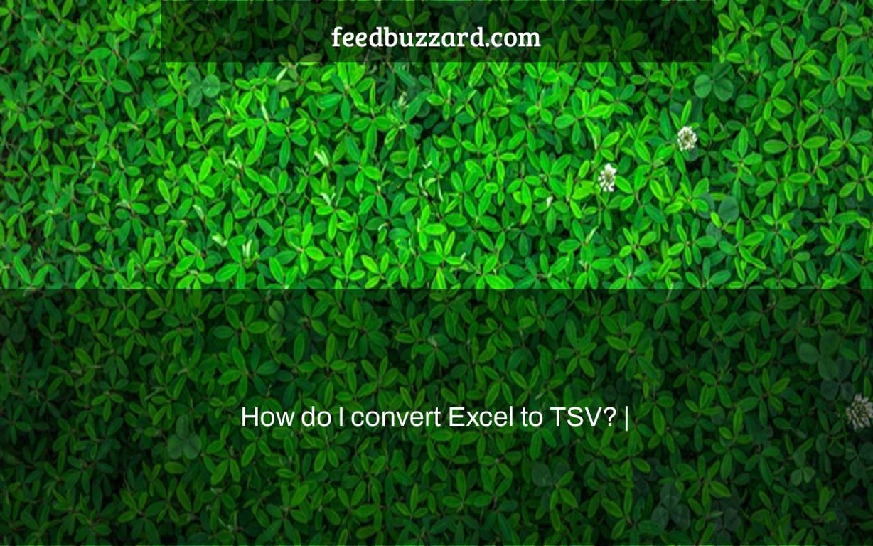 How do I convert Excel to TSV? |