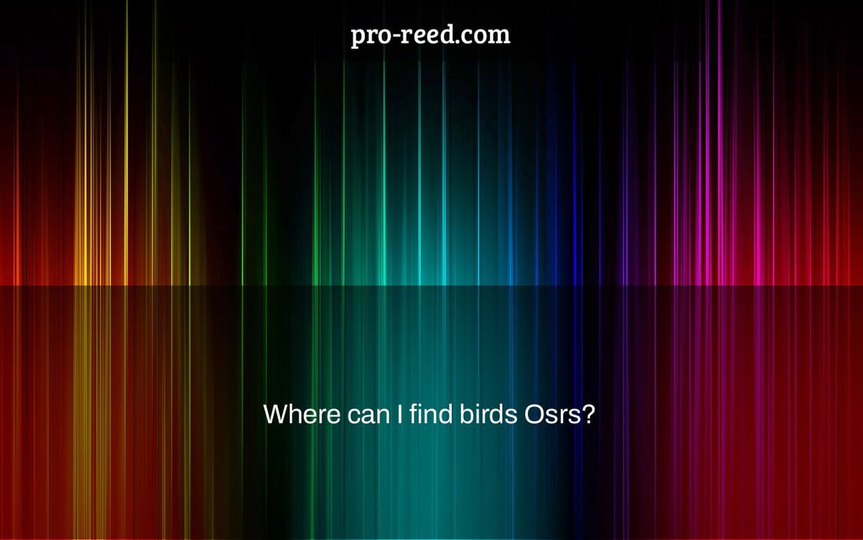 Where can I find birds Osrs?