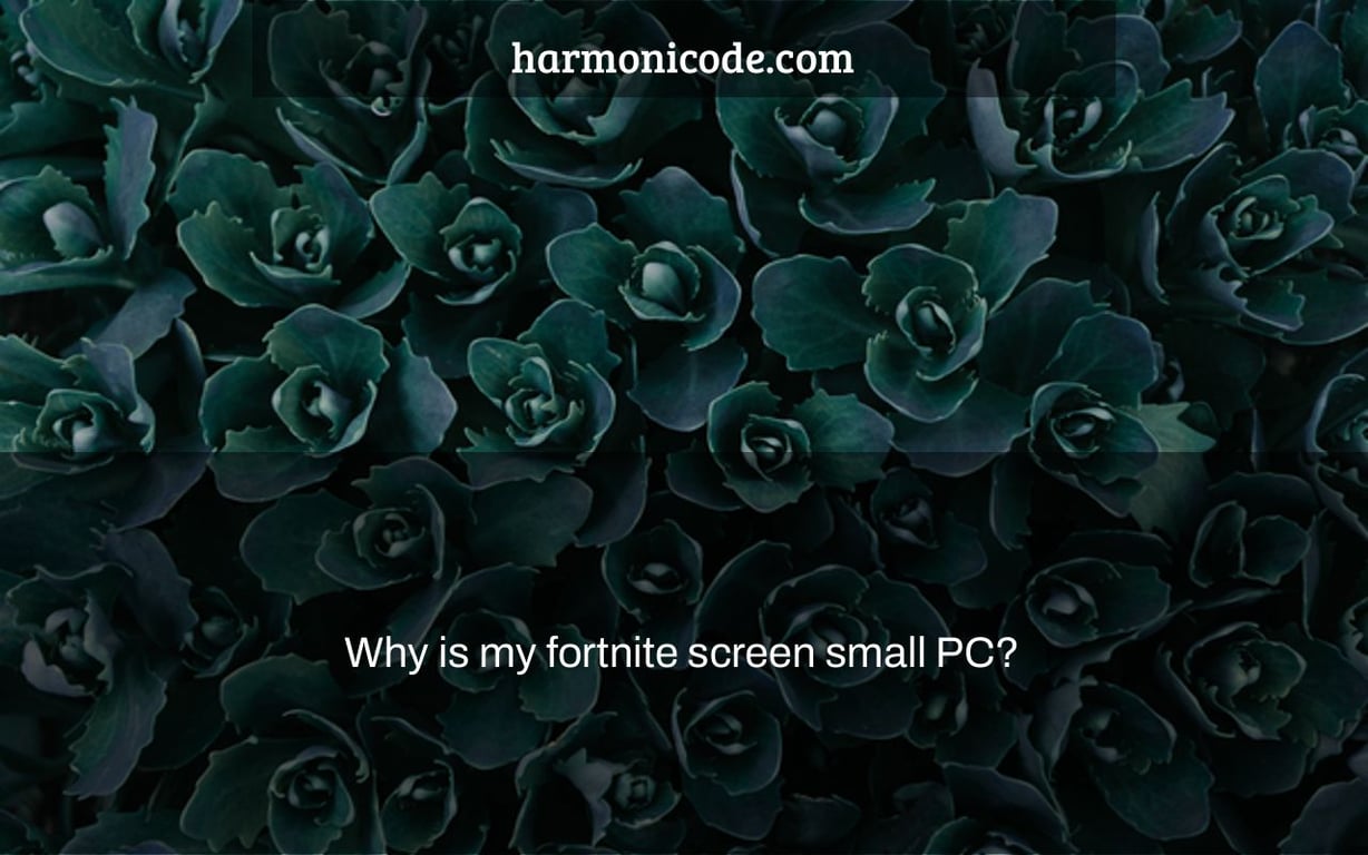 Why is my fortnite screen small PC?