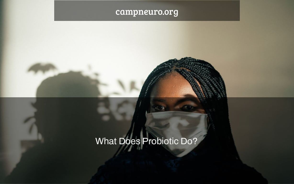 What Does Probiotic Do?