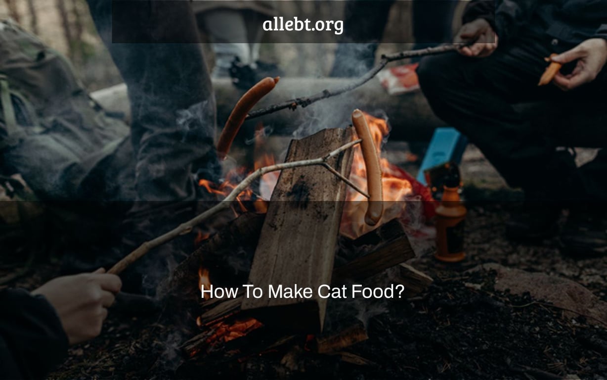 How To Make Cat Food?