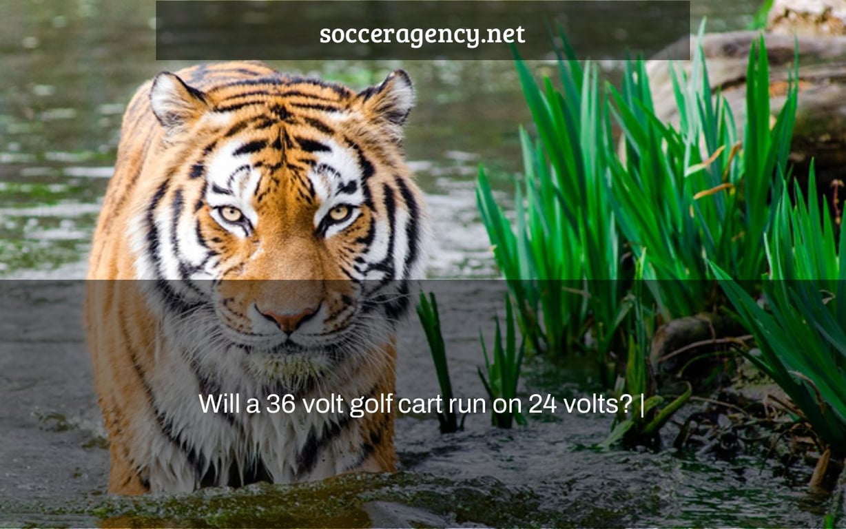 Will a 36 volt golf cart run on 24 volts? |