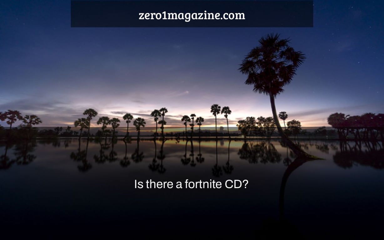 Is there a fortnite CD?