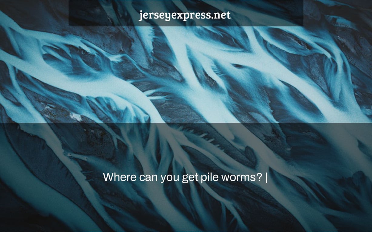 Where can you get pile worms? |
