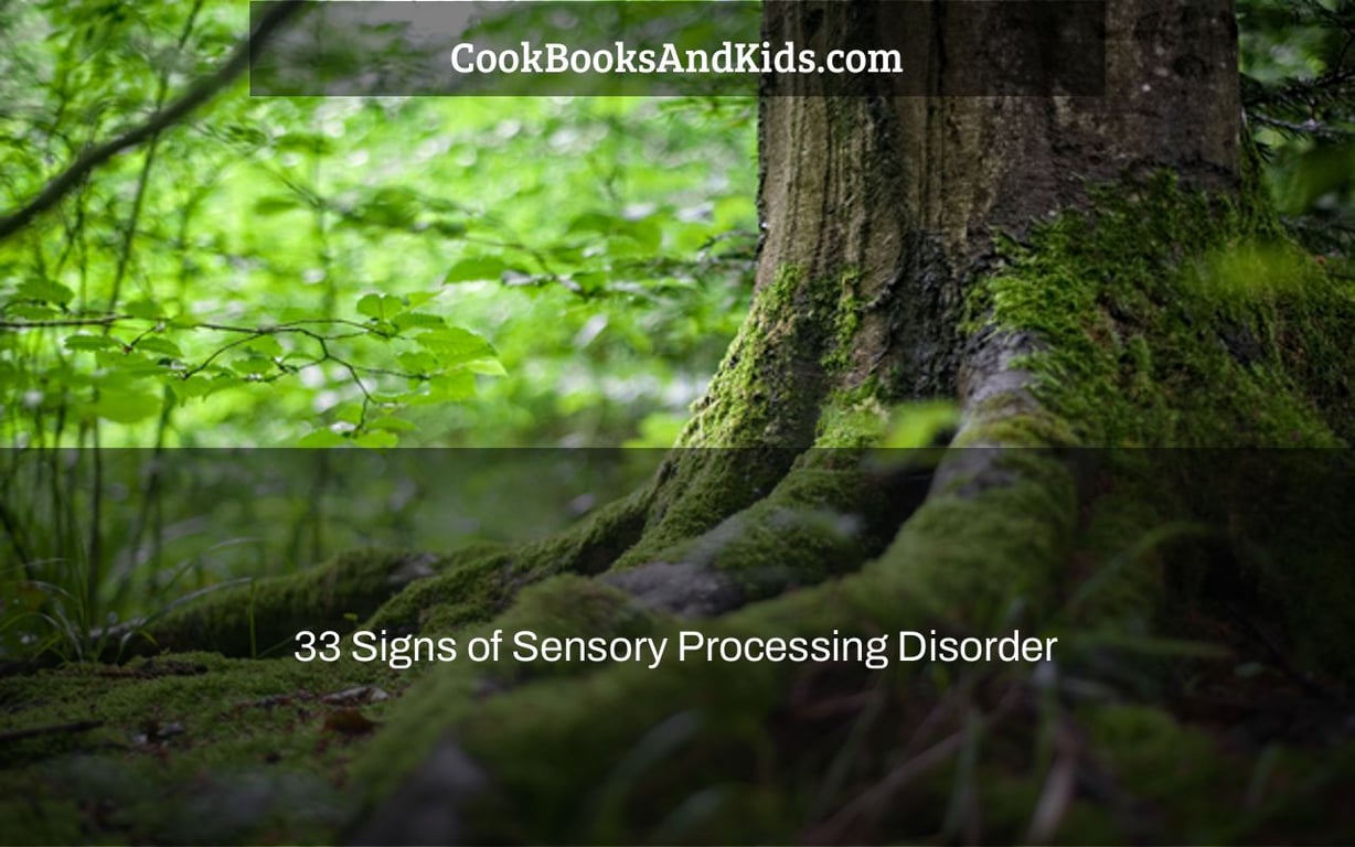 33 Signs of Sensory Processing Disorder