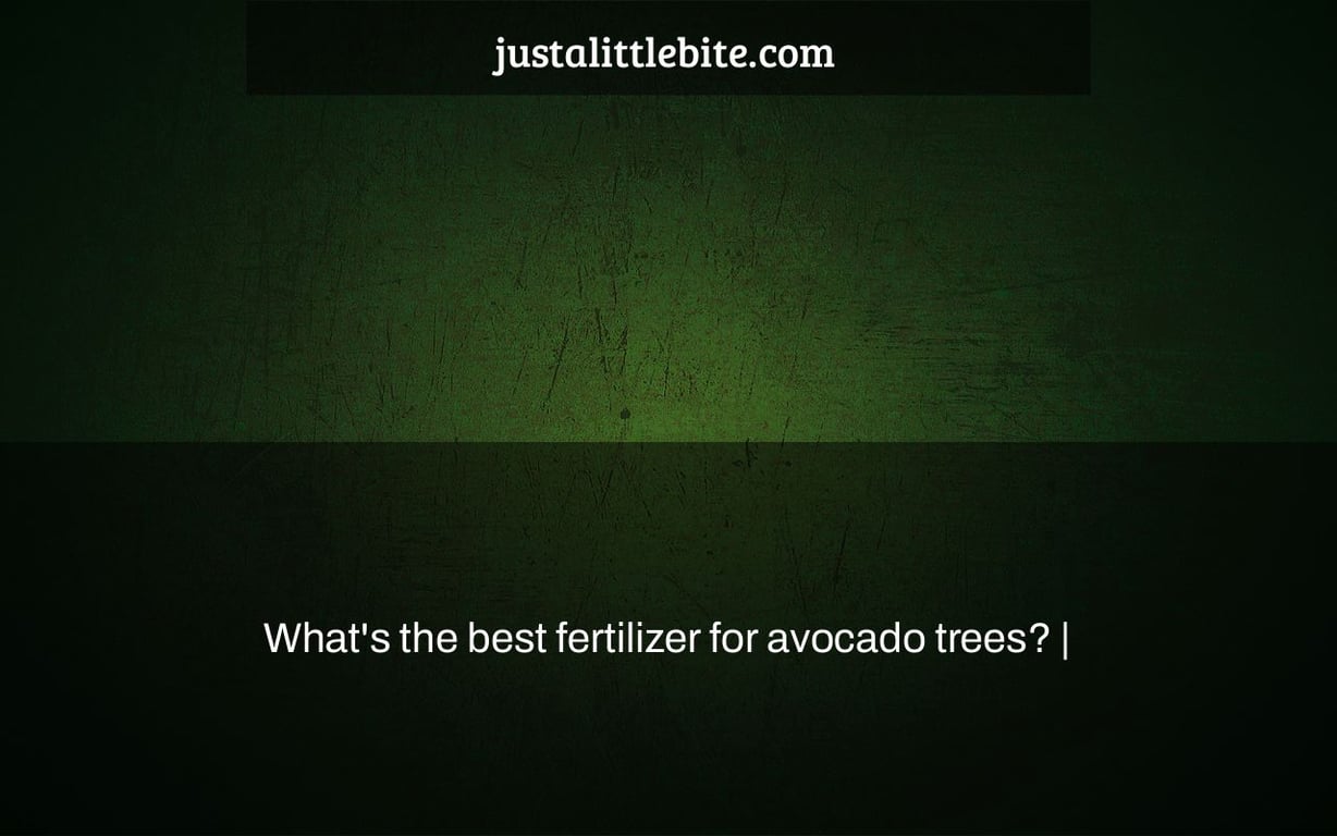 What's the best fertilizer for avocado trees? |