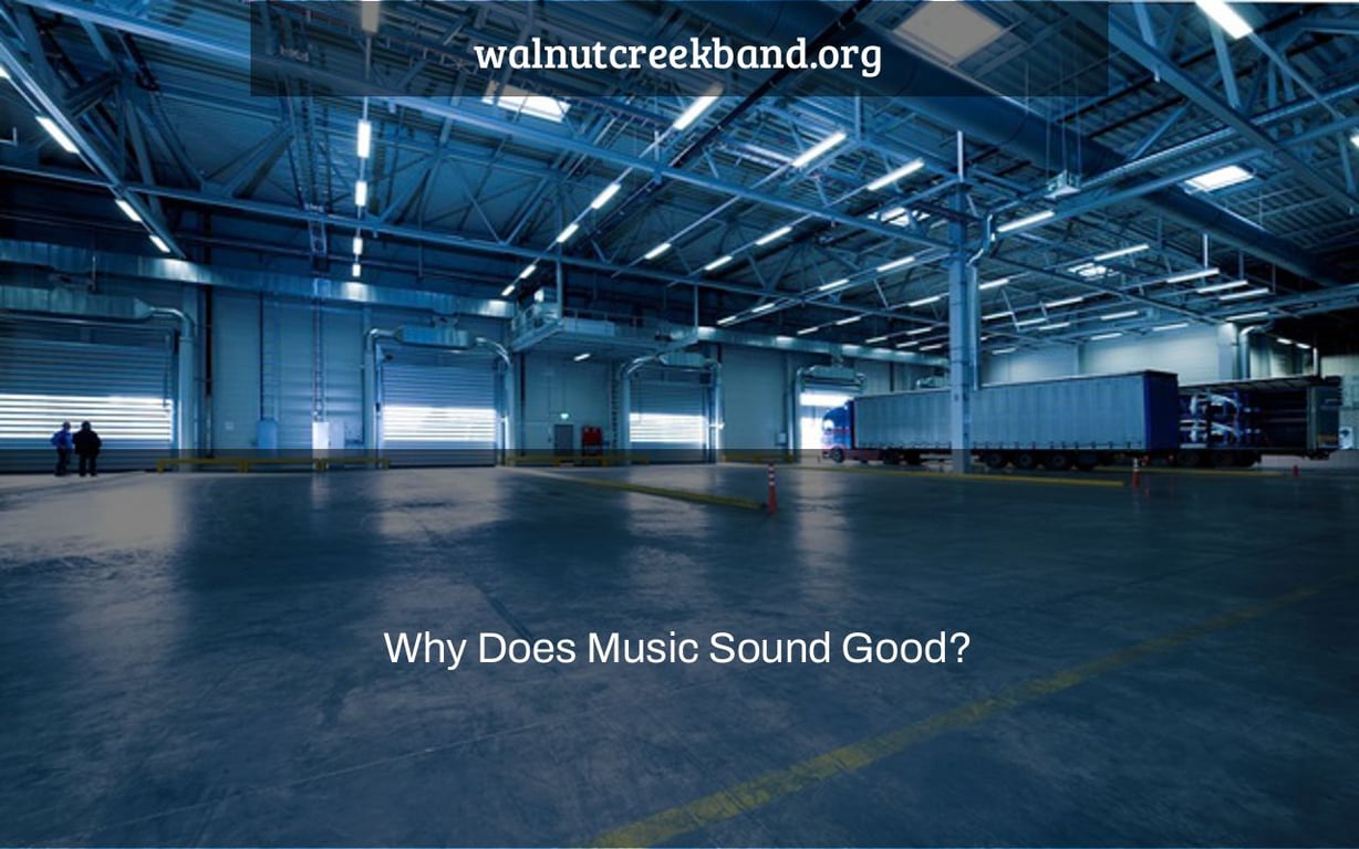 Why Does Music Sound Good?