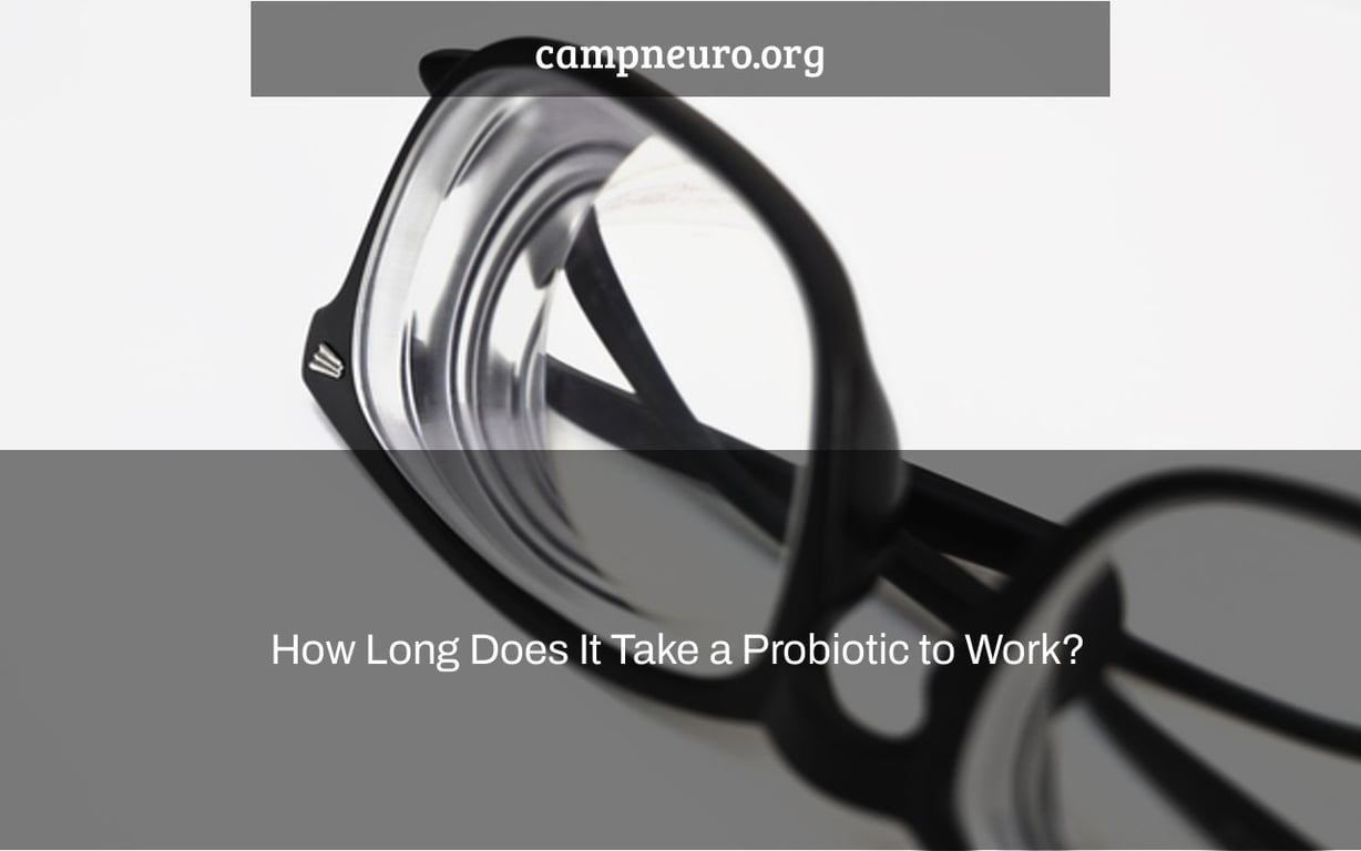 How Long Does It Take a Probiotic to Work? Camp Neuro