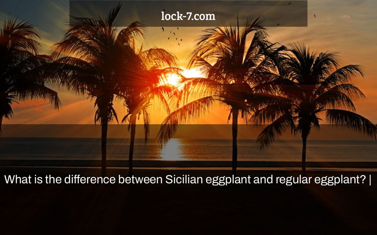 What is the difference between Sicilian eggplant and regular eggplant? |