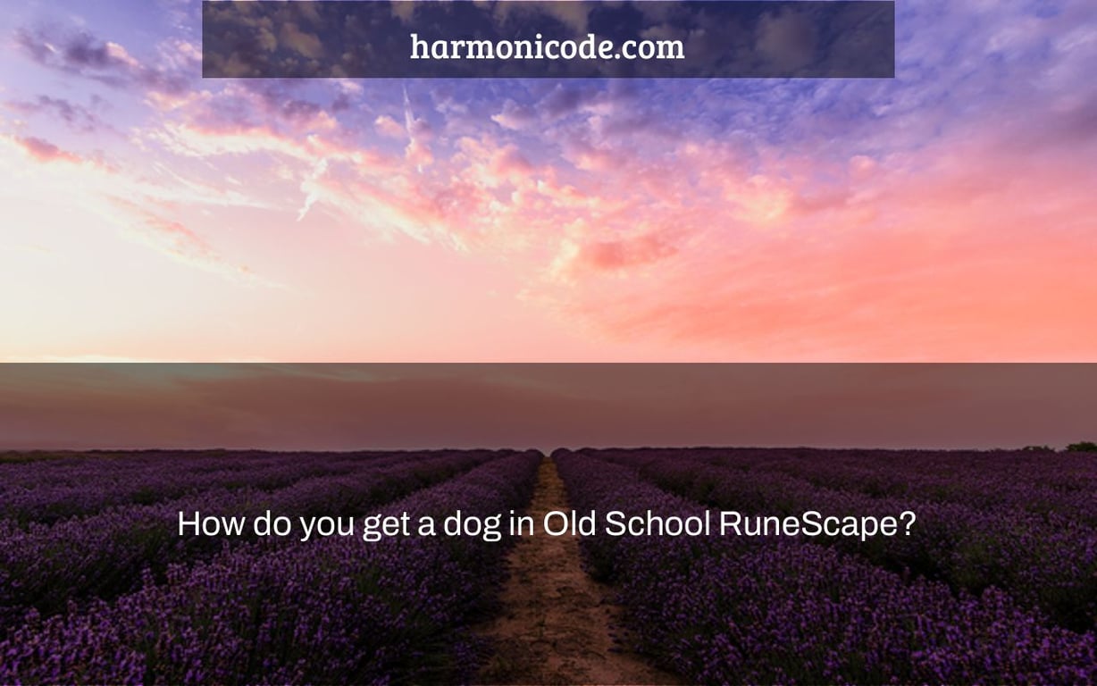 How do you get a dog in Old School RuneScape?