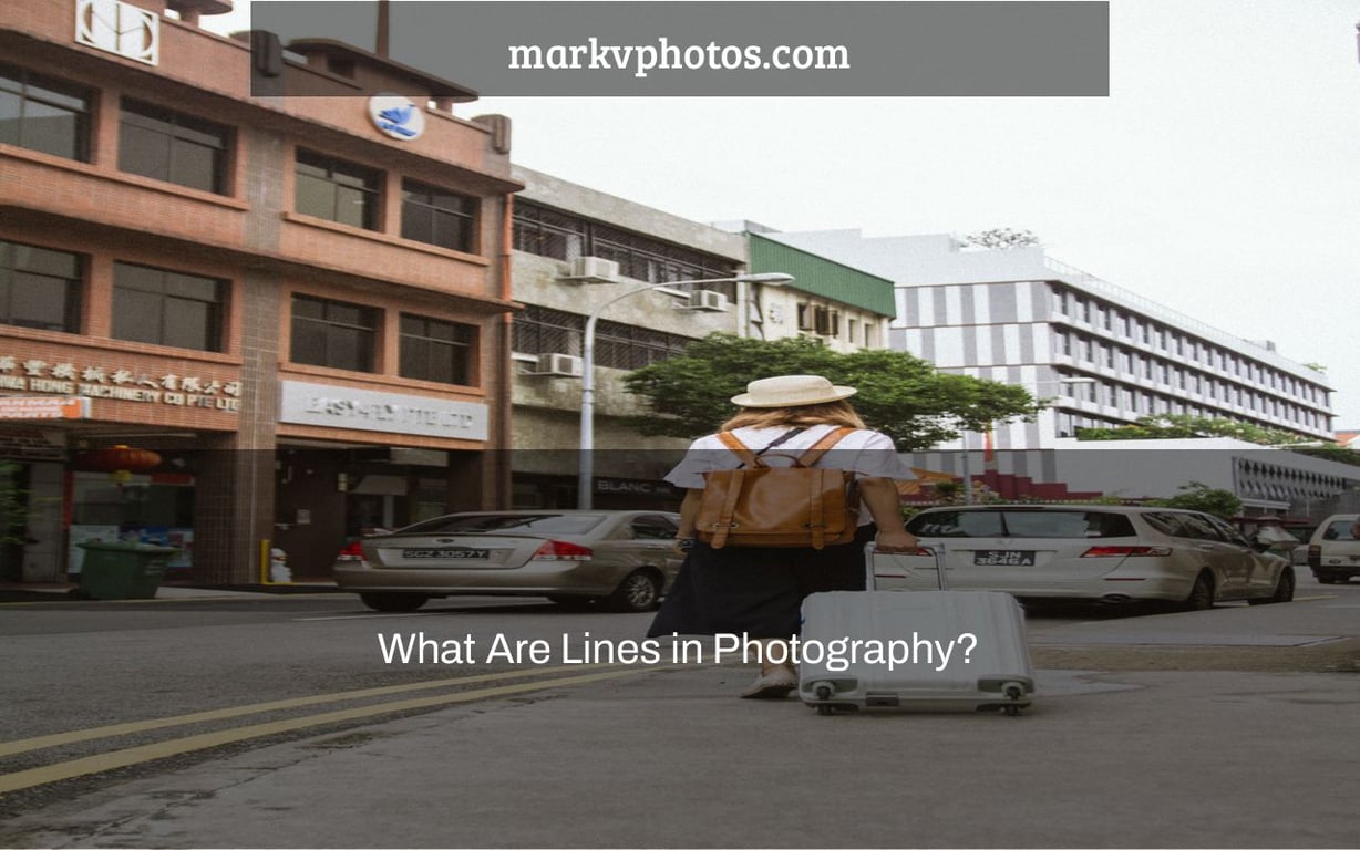 What Is The Function Of Aperture In Photography Markvphotos