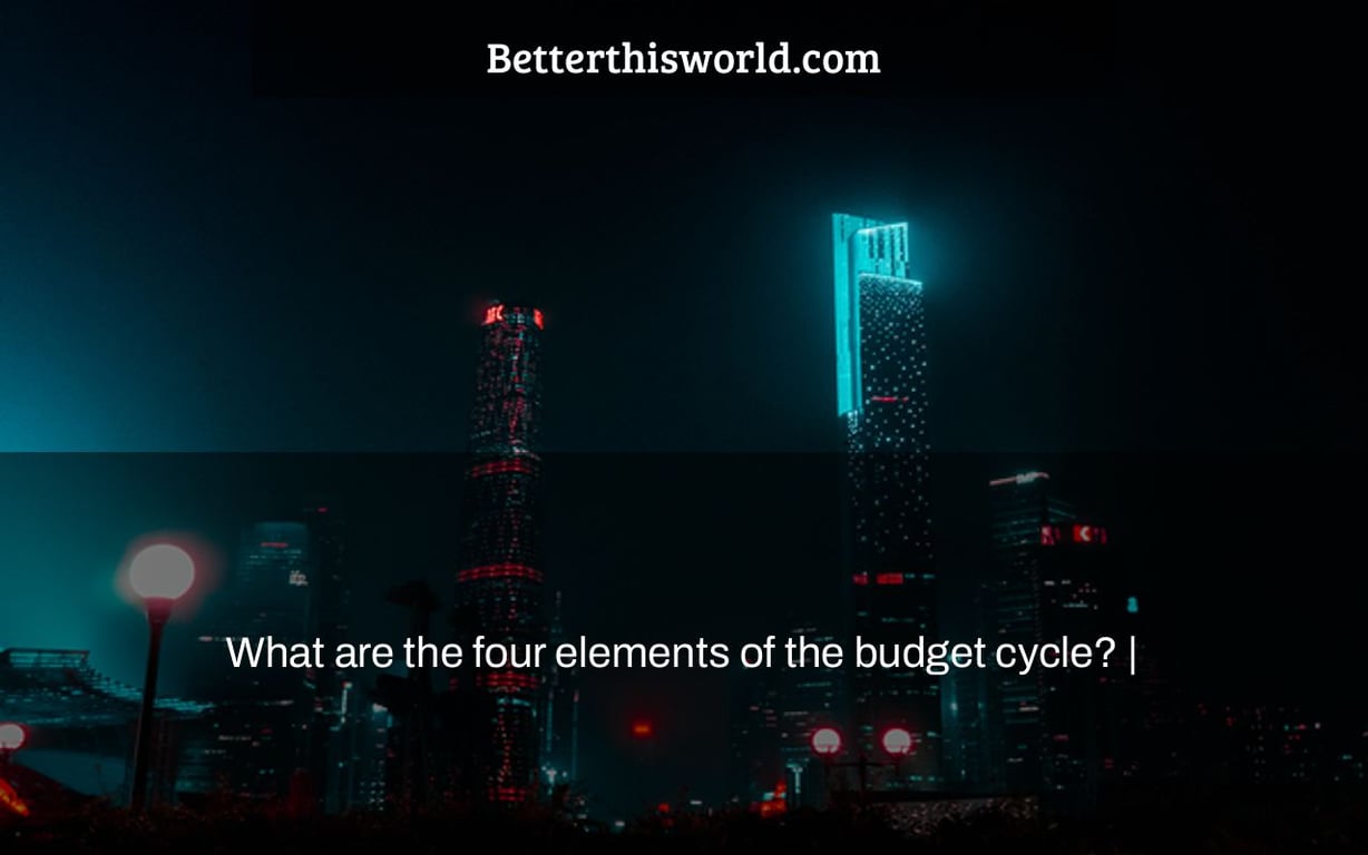 What are the four elements of the budget cycle? |
