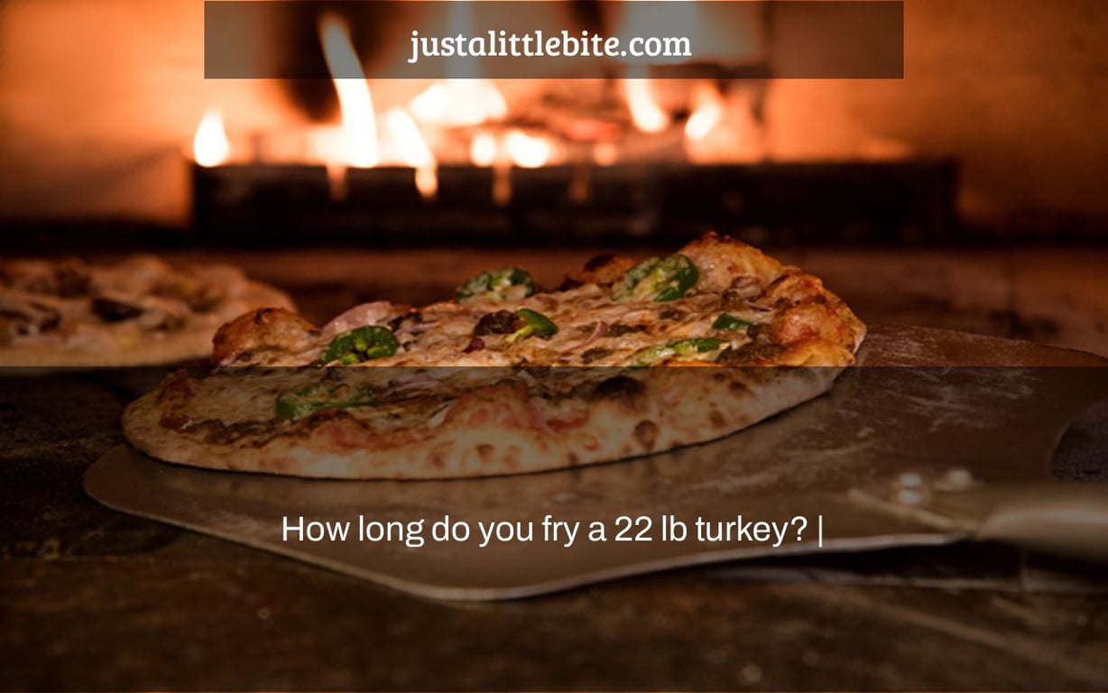 How long do you fry a 22 lb turkey? |